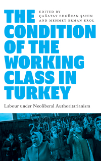 Cover image: The Condition of the Working Class in Turkey 1st edition 9780745343112