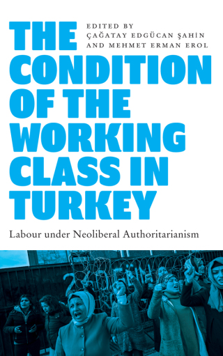 Imagen de portada: The Condition of the Working Class in Turkey 1st edition 9780745343112