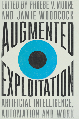 Cover image: Augmented Exploitation 1st edition 9780745343495
