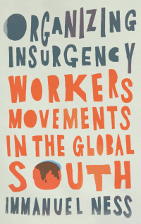 Cover image: Organizing Insurgency 1st edition 9780745343594