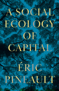 Imagen de portada: A Social Ecology of Capital 1st edition 9780745343778