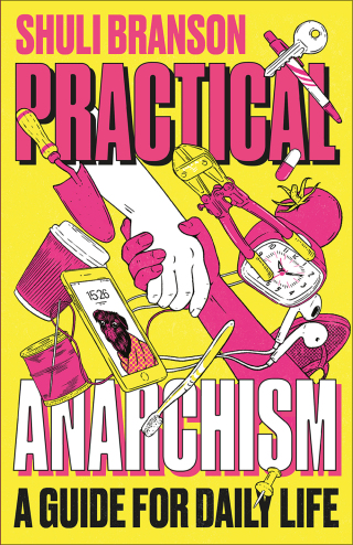 Cover image: Practical Anarchism 9780745344928