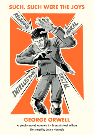 Cover image: Such, Such Were the Joys 1st edition 9780745345925