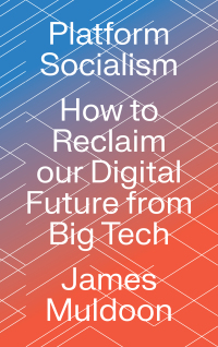 Cover image: Platform Socialism 1st edition 9780745346953
