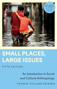 Titelbild: Small Places, Large Issues 5th edition 9780745348193