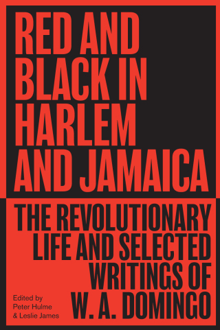 Cover image: Red and Black in Harlem and Jamaica 1st edition 9780745348575
