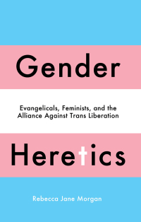 Titelbild: Gender Heretics 1st edition 9780745349015
