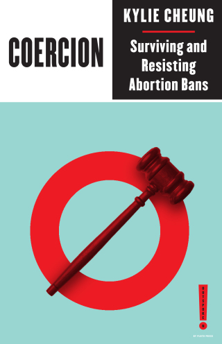 Cover image: Coercion 1st edition 9780745350615