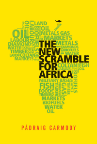 Cover image: The New Scramble for Africa 1st edition 9780745647852