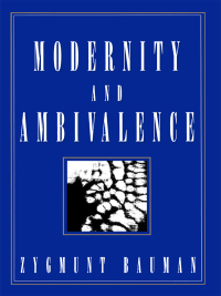 Cover image: Modernity and Ambivalence 1st edition 9780745605739