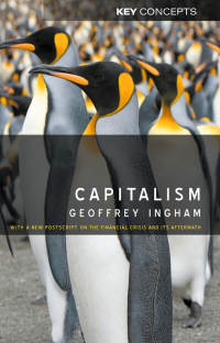 Cover image: Capitalism 1st edition 9780745636481