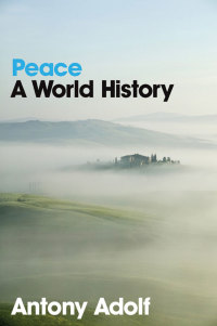 Imagen de portada: Peace 1st edition 9780745641256