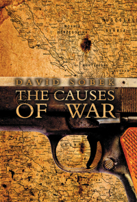 Imagen de portada: The Causes of War 1st edition 9780745641997