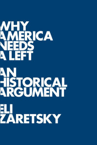 Cover image: Why America Needs a Left 1st edition 9780745644844