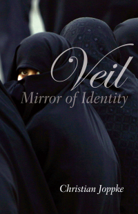Cover image: Veil 1st edition 9780745643519