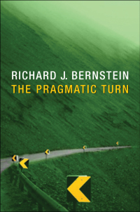 Cover image: The Pragmatic Turn 1st edition 9780745649085