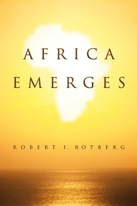 Cover image: Africa Emerges 1st edition 9780745661636