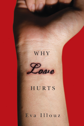 Cover image: Why Love Hurts 1st edition 9780745661520