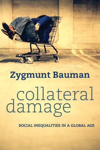 Cover image: Collateral Damage: Social Inequalities in a Global Age 1st edition 9780745652955