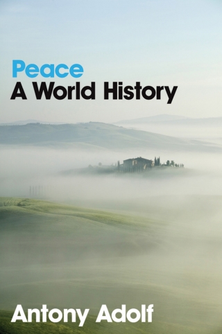 表紙画像: Peace: A World History 1st edition 9780745641263