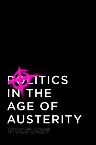 صورة الغلاف: Politics in the Age of Austerity 1st edition 9780745661698