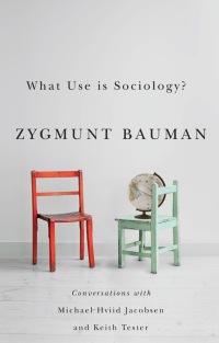صورة الغلاف: What Use is Sociology?: Conversations with Michael Hviid Jacobsen and Keith Tester 1st edition 9780745671253