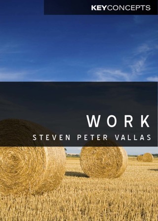 Imagen de portada: Work 1st edition 9780745646787