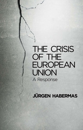 Cover image: The Crisis of the European Union 1st edition 9780745662435