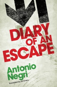 Cover image: Diary of an Escape 1st edition 9780745644264