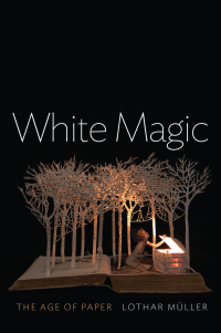 Cover image: White Magic: The Age of Paper 1st edition 9780745672540