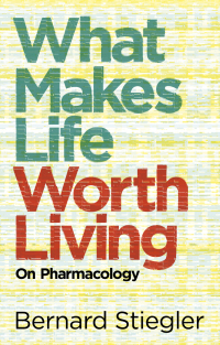 Cover image: What Makes Life Worth Living 1st edition 9780745662701