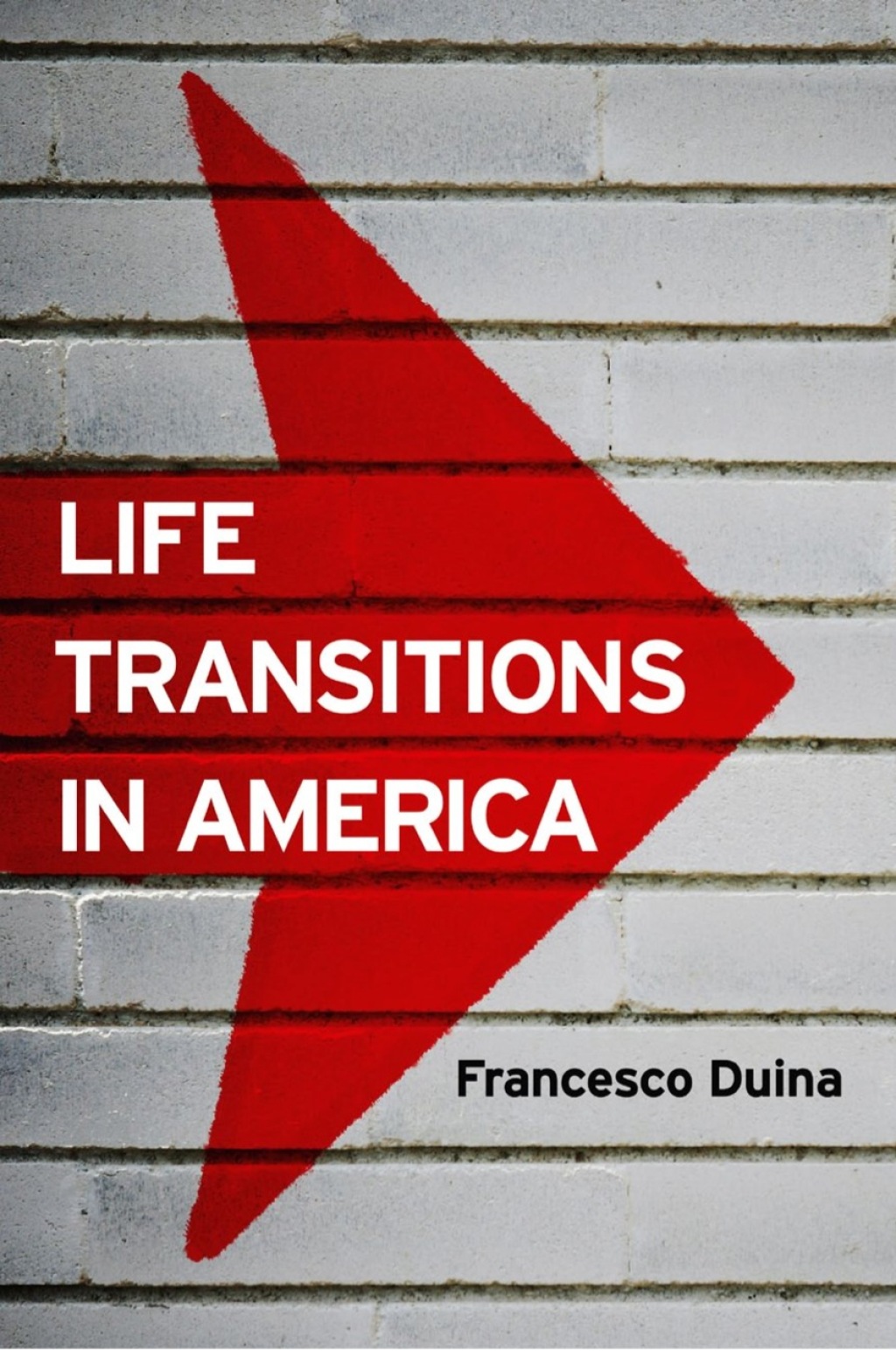 Life Transitions in America 1st Edition