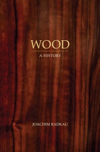 Cover image: Wood 1st edition 9780745646886