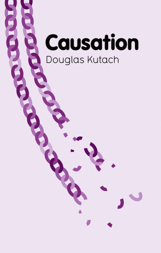 Imagen de portada: Causation 1st edition 9780745659954