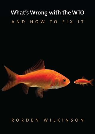 Cover image: What's Wrong with the WTO and How to Fix It 1st edition 9780745672458
