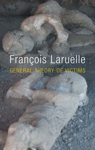 表紙画像: General Theory of Victims 1st edition 9780745679617