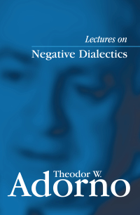 Cover image: Lectures on Negative Dialectics 1st edition 9780745635095