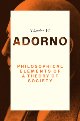 Imagen de portada: Philosophical Elements of a Theory of Society 1st edition 9780745679471