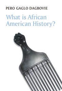 Cover image: What is African American History? 1st edition 9780745660813