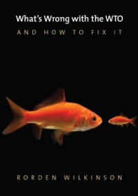 صورة الغلاف: What's Wrong with the WTO and How to Fix It 1st edition 9780745672465