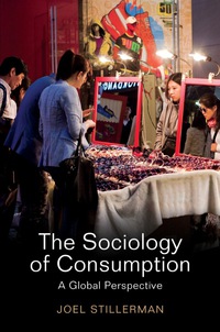 Cover image: The Sociology of Consumption - A Global Approach 1st edition 9780745661285