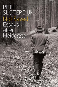 Cover image: Not Saved: Essays After Heidegger 1st edition 9780745696997