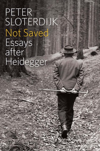 Titelbild: Not Saved: Essays After Heidegger 1st edition 9780745696997