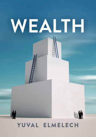 Cover image: Wealth 1st edition 9780745697864