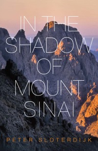 Cover image: In The Shadow of Mount Sinai 1st edition 9780745699240