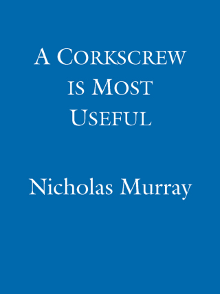 Cover image: A Corkscrew Is Most Useful 9780748111503