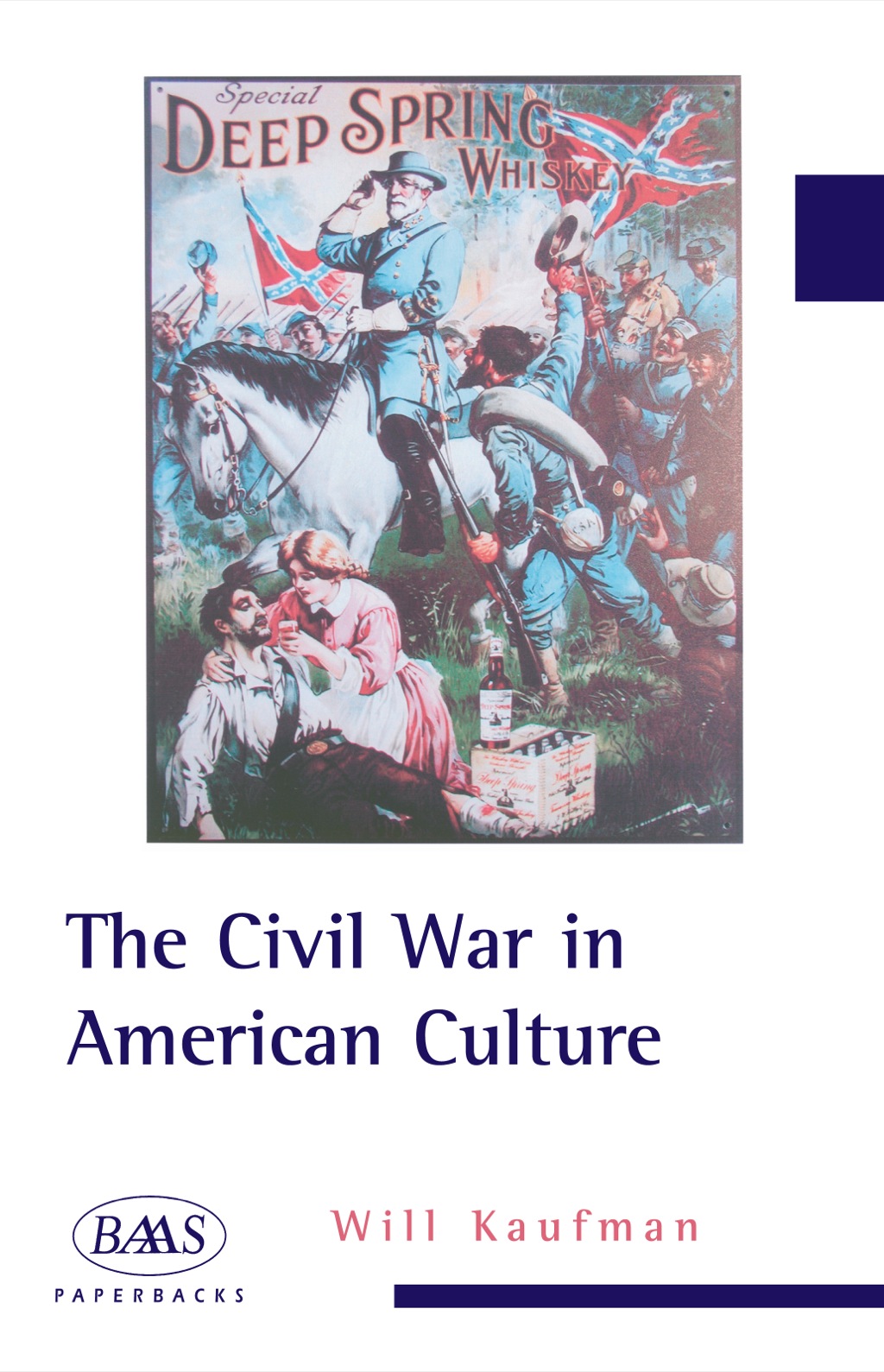 The Civil War in American Culture eBook