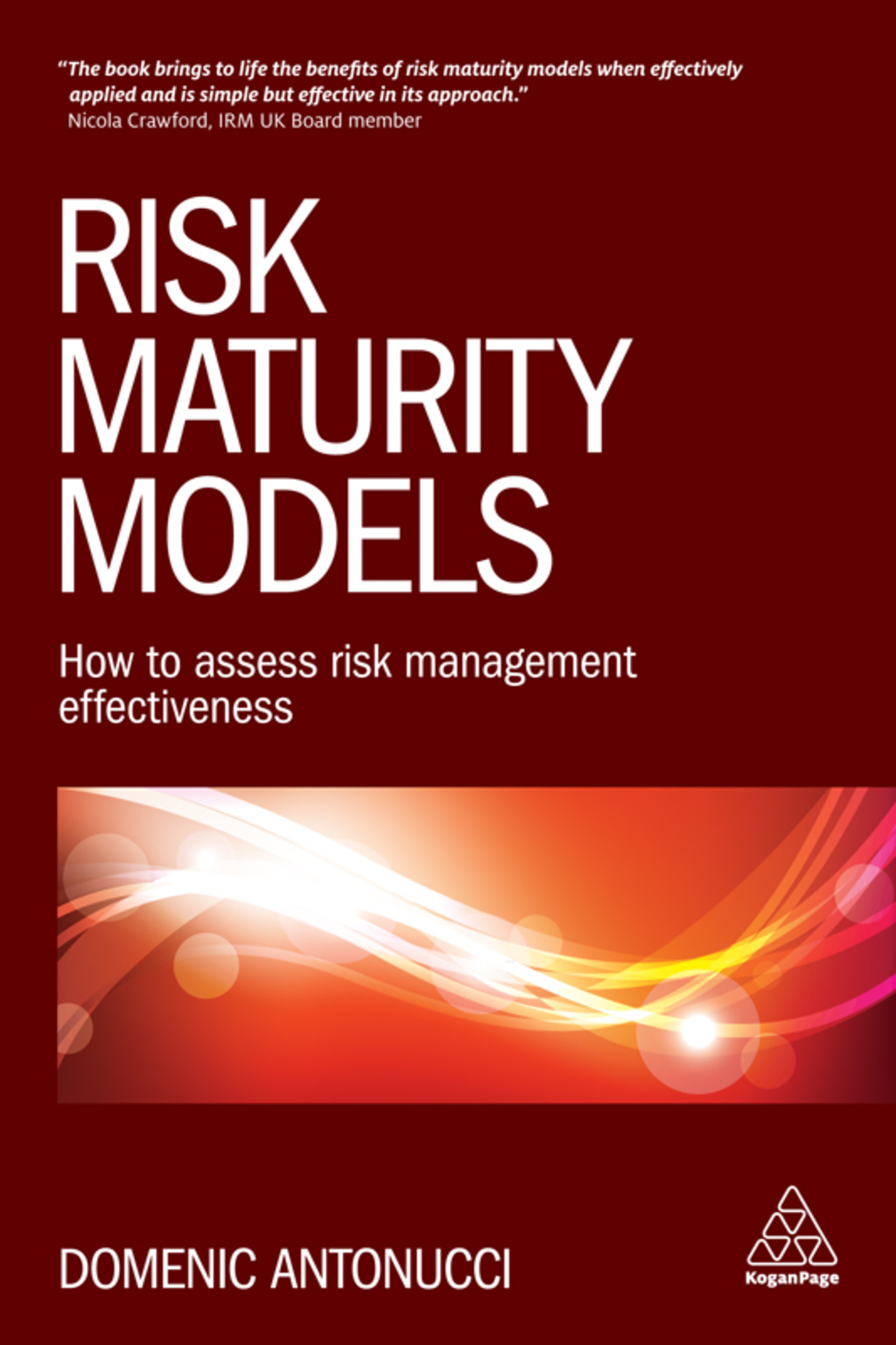 Risk Maturity Models How to Assess Risk Management Effectiveness 1st Edition
