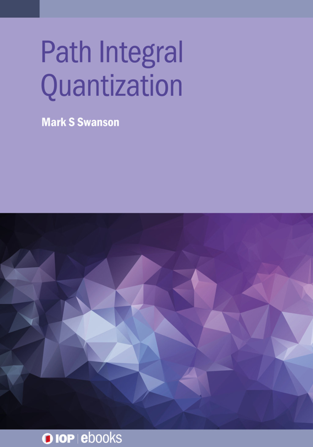 Path Integral Quantization (eBook)