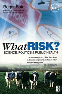 Cover image: What Risk? 9780750642286
